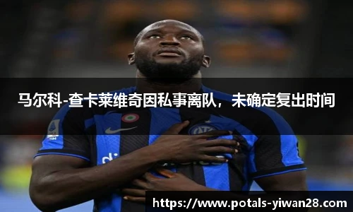 马尔科-查卡莱维奇因私事离队，未确定复出时间