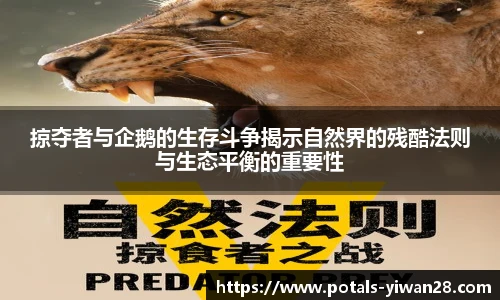 亿万28官网